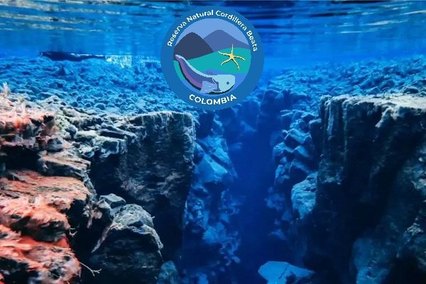 Ecosimple participa en la socialización del portafolio de investigación de la Reserva Natural Cordillera Beata en Santa Marta/ Ecosimple joins the socialization event of the Cordillera Beata Natural Reserve research portfolio in Santa Marta