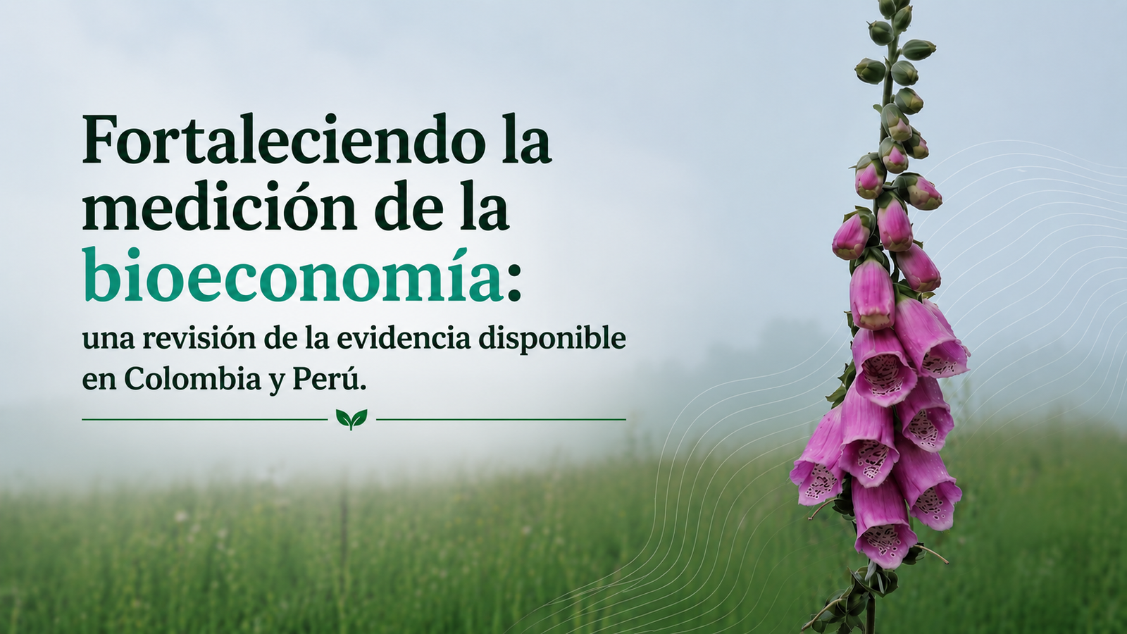 Fortaleciendo la medición de la bioeconomía: una revisión de la evidencia disponible / Strengthening the Measurement of bioeconomy: A Review of the Available Evidence
